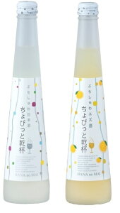 Xp[NO{ hZNV܎ тƊt Ղ{EY 300ml×2{ MtgZbg Ԃ̕ É { 蕨 ꕔn摗