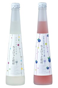 ΕMtgp \񏤕i Xp[NO{ hZNV܎ тƊt Ղ{Eu[x[ 300ml×2{ MtgZbg Ԃ̕ É { 蕨