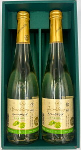 Mtg v[g NX}X ̓ ƈ C AvXC MBVC}XJbgiCAK Xp[NO 500ml 2{Zbgϔ 쌧 ()AvX