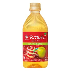 ギフト プレゼント 家飲み 家呑み 清涼飲料水 紅茶 TEAs' TEA NEW AUTHENTIC 生アップルティー 500mlペット 2ケース48本入 伊藤園 送料無料