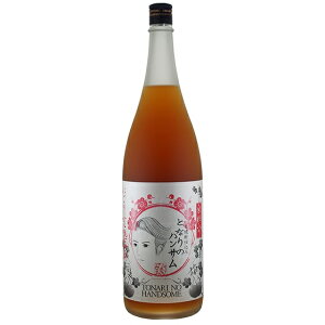 Mtg v[g NX}X ̓ ƈ L[ ~ ɂ芮n~ ƂȂ̃nT 1.8Lr 1{  R