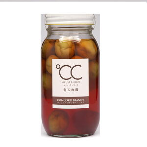 Mtg v[g ̓ ƈ L[ ~ uZbVLbgpʔ~vpʔ~×RR[huf[ 14 720mlr 1{  @񏤓X 