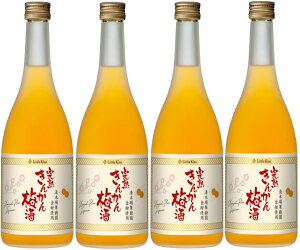 Mtg v[g NX}X ̓ ƈ }g^A Little KissgLX n񂩂~ 14x 720mlr 4{  