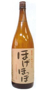 Mtg v[g NX}X ̓ ƈ 6{܂ő1{ kC Ǝӗ͏B}g^A 25xقق 1.8Lr Ē 啪 vƖ{X