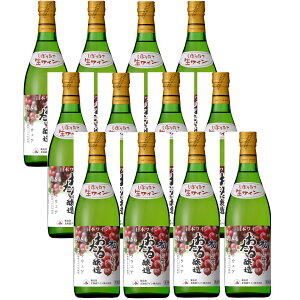 郏C 2024N 鏉ڂ fEFA  720mlr 1{ {EkCMs Ì kCC Mtg v[g ̓ NX}X ƈ