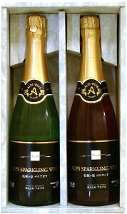 AvXC Xp[NOC 2{Zbg SPCN-330 720ml AvX {E쌧 Ks ꕔn摗