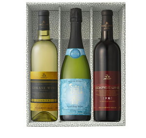 nCZbg Mtg Mtg v[g NX}X ̓ ƈ }g^A ܃C Vhlh720ml܃h750ml[zԐh720ml 3{Zbg {茧 ܃