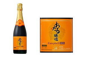 郏C@LxA[ Xp[NO 720ml {EkCMs Ì kCC@Mtg v[g NX}X ̓ ƈ