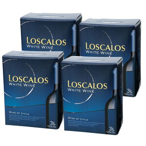 Mtg v[g NX}X ̓ ƈ XJX obOC{bNX 3L×4{ ` h AvXCrobW