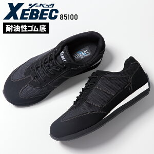 SC Xj[J[  fB[X Y ϖ ʋC 傫TCYΉ ƌC 85100 W[xbN 22cm-30cm