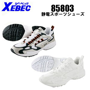 SC Xj[J[  fB[X Y yƗp d y ϖ 傫TCYΉ ƌC 85803 W[xbN 22cm-29cm