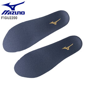 ミズノ 安全靴 インソール 中敷き 抗菌防臭 レディース メンズ mizuno F1GU2200 ミズノ安全靴 22.0-30.0cm