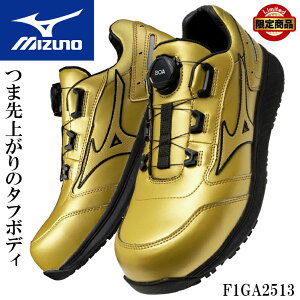 ~Ym SC J[ 25H~V BOA Y  F1GA2513 ALMIGHTY SU 51L BOA 25-29cm