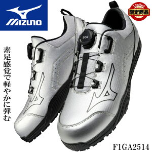 ~Ym SC J[ 25H~V BOA Y  F1GA2514 ALMIGHTY TDII 51L BOA 25-29cm