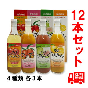 @Y@t[cW[Xlߍ킹@500ml@12{Zbg@inCEpbV3{AnCEO@o3{A}S[3{A^J3{j