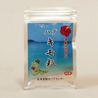 奄美　ハブ肝　粒　45粒　パウチ　ハブキモ