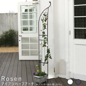 ACAn[tA[` n[t n[tUCY A[` ACA K[fA[` K[fjO NVJ AeB[N gX  K[fA[` o x [YA[` K[fQ[gt