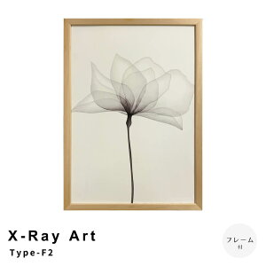 yyVubNtCf[|Cg5{z X|Ray Art Type|F2 A[g|X^[it[tj _ {^jJ Ǐ  Q rO G EH[ Re|[   IV