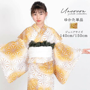 q Pi WjA WjA q  ̎q 140 150 160 g  ̗t ڂ 