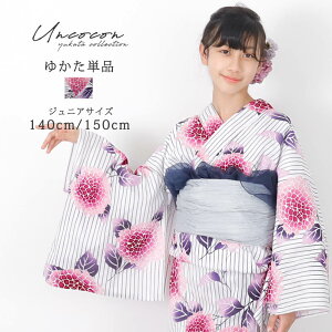 q Pi WjA WjA q  ̎q 140 150 160 g   sN 