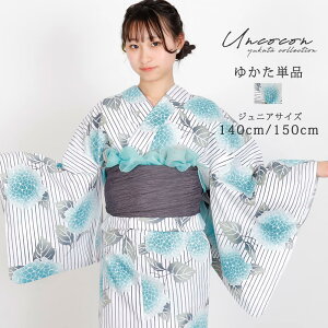 q Pi WjA WjA q  ̎q 140 150 160 g   O[ 