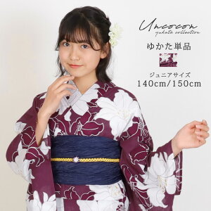 q Pi WjA WjA q  ̎q 140 150 160 g   S p[v