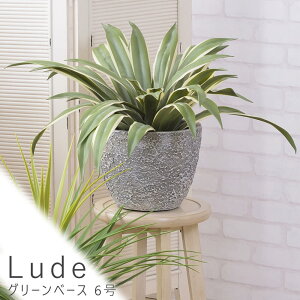 O[x[X 6 v^[ Aؔ O[x[X t[x[X ϗtA ~`   }OlVE O[ i` Vv k g C ~bhZ`[