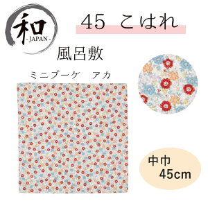 C~@45cm@唻C~@ӂ낵@Ё@ٓ@v[g@@ԕ@bh@ԁ@@[2|Cg