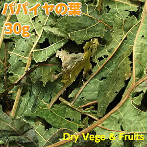 ̂ς Y ppC̗t 30g  @_͔|