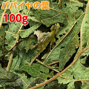 ̂ς Y (p)ppC̗t 100g   
