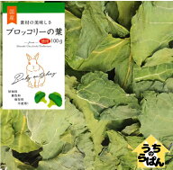 うちのらぱん 国産 (徳用)ブロッコリーの葉 100g うさぎ 小動物 おやつ