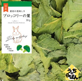 楽天市場 うさぎ ブロッコリーの葉の通販