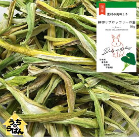 楽天市場 ブロッコリー 茎 うさぎの通販 楽天市場 ブロッコリー 茎 うさぎの通販