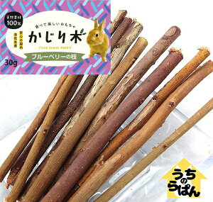 ̂ς  Y u[x[̎} 30g  p 