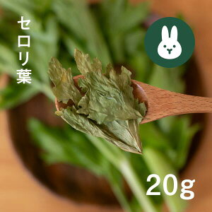 yYEFEYẑς Z̗t 20g bEnX^[EbgE``ɍœKbRh؁b`bNtpbP[W