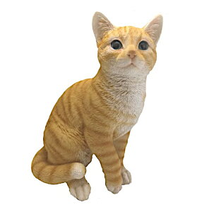 _ W g˂ L TCY() W25cm×D17cm×H30.5cm