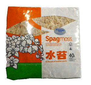 SP  j[W[hY 500g@AAA i40bgj3A