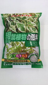 楽天市場 観葉植物 ベンジャミン 肥料 用土 肥料 ガーデニング 農業 花 ガーデン Diyの通販