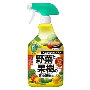 xjJxWtXv[@1000ml@KINCHO|