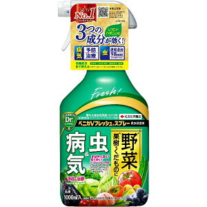 xjVtbVXv[@1000ml@KINCHO|