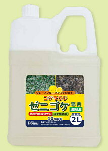 RP [jSPpZkt Ɩp 2L pltHƁy10{߁z