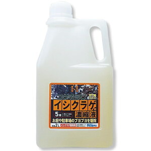 RP CVNQpƖpZkt@2L pltHƁy5{߁z