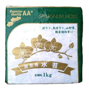 SP  `Y AA+ 1kg ki 