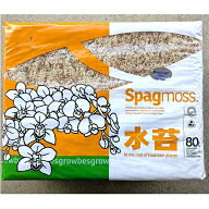 水ゴケ 水苔 ニュージーランド産 1kg　AAA （80リットル）3A
