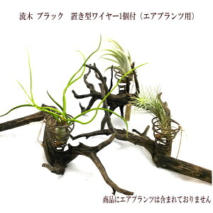 エアープランツ 流木の人気商品 通販 価格比較 価格 Com