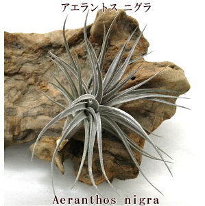 GAvc `WA AGgX jO(8`10cmOjGA[vc