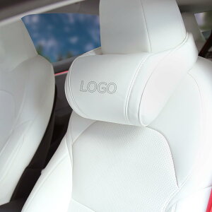 Tesla ԗplbNs[ ᔽf lԍHwfUC V[glbNT|[gwbhXg Tesla Model 3 Y S XANZT[p 1 zCg