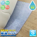 洗える 除湿パッド 除湿シート 除湿マット 布団 フローリング シングル S 90×180cm 湿気 吸収 カビ対策 湿気対策 消臭 抗菌 梅雨対策 マットレス マットレス下 ベッド 敷きパッド 押し入れ 敷き 布団 下に敷く シート 吸湿マット 湿気取りシート 結露防止シート 送料無料