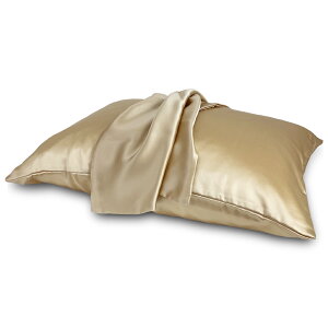 { v~A VN Jo[  VN100 t@Xi[ wAPA Jo[ e 19 6A sP[X ܂Jo[ VNJo[ 􂦂 Jo[ 43×63cm  6AN  s[P