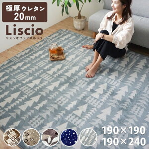 ���O �f�U�C�� 20mm 2cm �Ɍ� ���� liscio �v�����g ���O ���O�}�b�g �����` 190×190cm �����` 190×240cm ���炳�� �O�~ ���イ���� ����~�� �J�[�y�b�g 2�� �k�� �t�����l�� �m���z�� �y�� ���g�[�Ή�